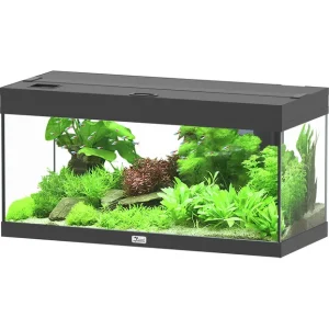 Wochenendangebot aquatlantis Prestige 80 schwarz Aquarium